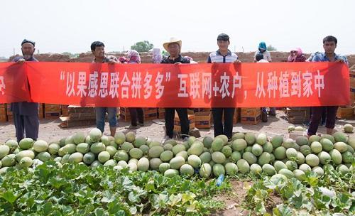 以果沙漠打造互聯(lián)網+訂單農業(yè)
