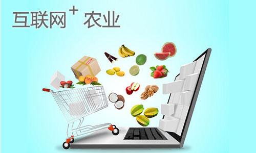 以果沙漠打造互聯(lián)網+訂單農業(yè)