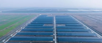 浙東15.6MW“牧光互補”牛棚發(fā)電站項目投產 為浙東最大