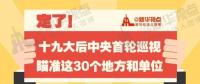 定了！華電集團、中核集團將接受十九屆中央第一輪巡視