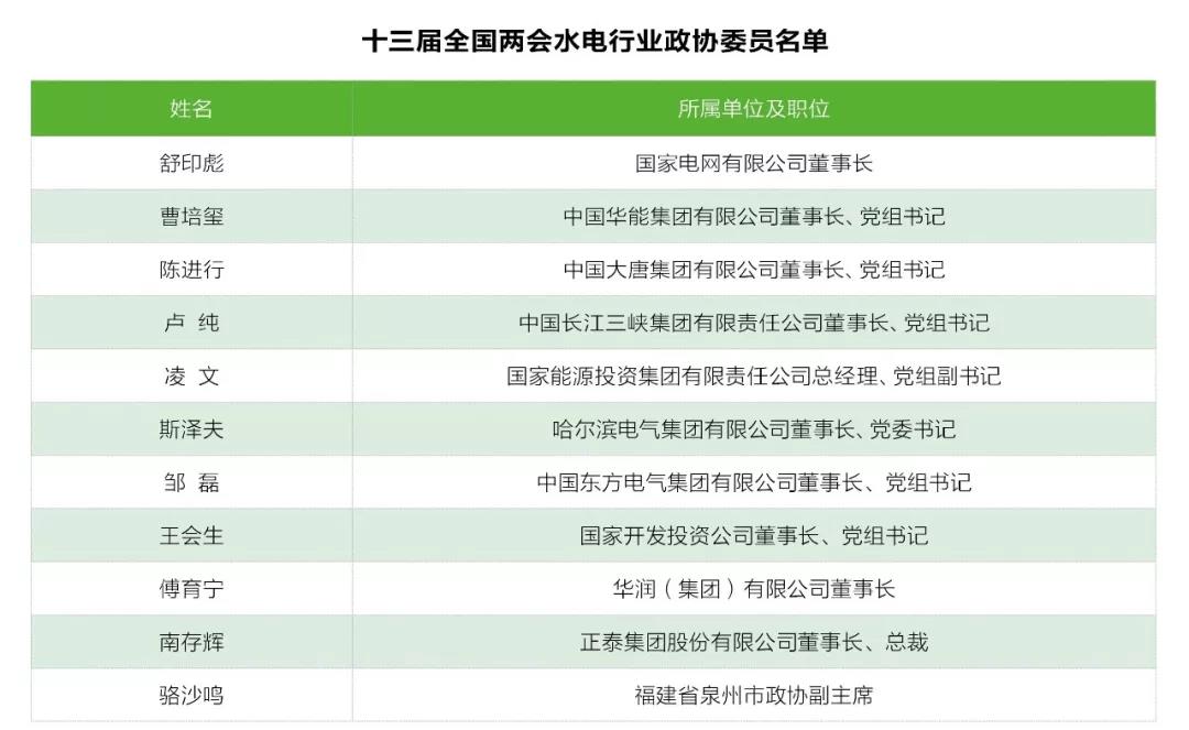兩會觀察｜水電篇：消納難題何解？