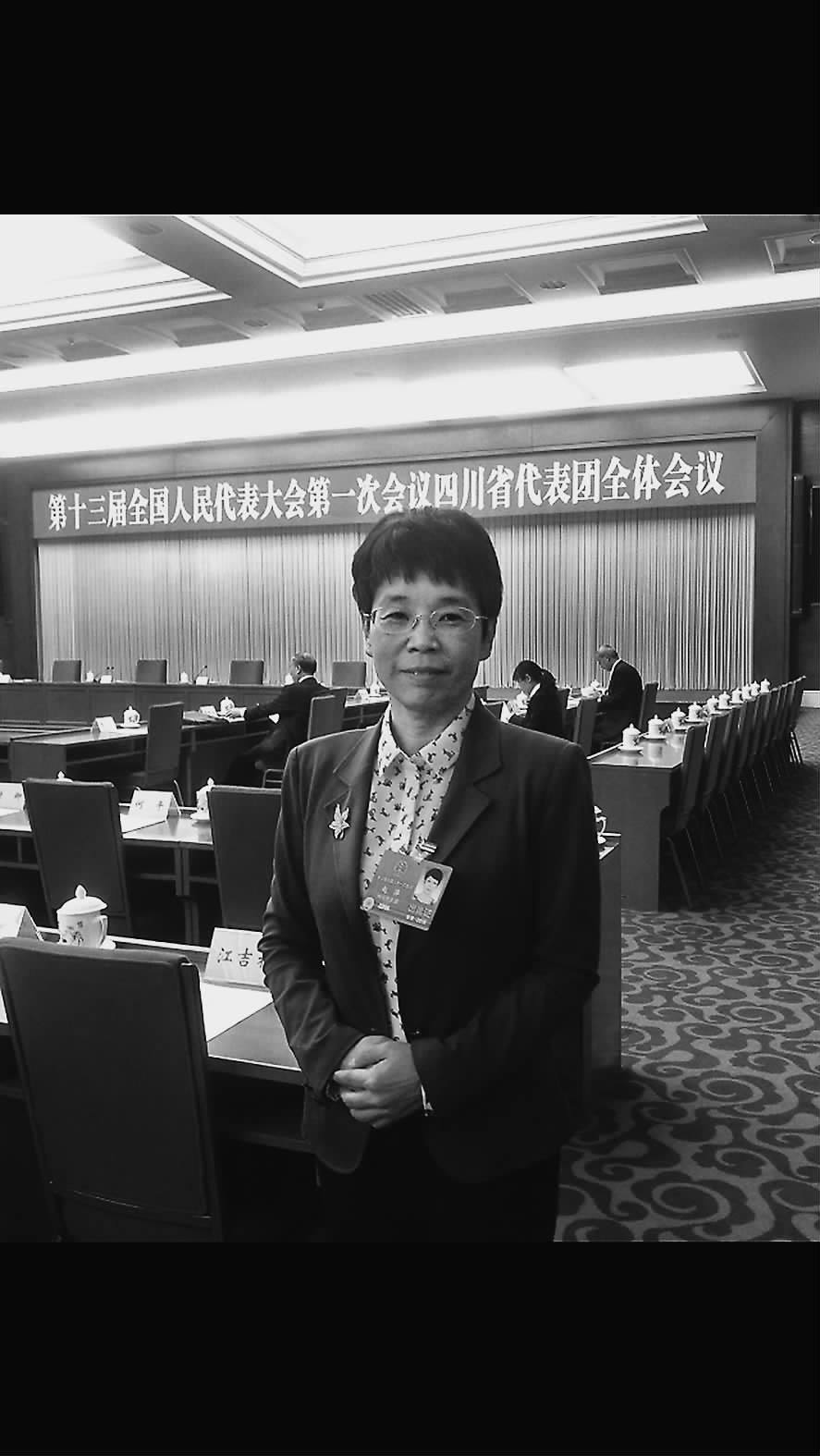 兩會訪談丨趙萍：系統(tǒng)降本促風電高質(zhì)量開發(fā)