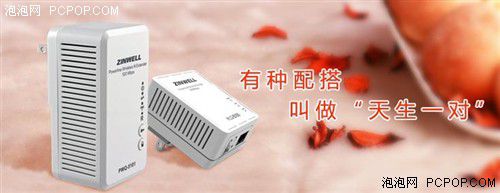 電力貓的版本眾多，從電力線(xiàn)傳輸技術(shù)上就可以分為HomePlug和G.hn，采用相同電力線(xiàn)通信技術(shù)的電力貓還可以分為有線(xiàn)電力貓和無(wú)線(xiàn)電力貓，而在無(wú)線(xiàn)電力貓中還有無(wú)線(xiàn)AP和無(wú)線(xiàn)路由的區(qū)別。外觀(guān)功能上的區(qū)別就更大了，以ZINWELL為例，就先后推出了單口有線(xiàn)電力貓，帶電源延長(zhǎng)線(xiàn)的電力貓，多口有線(xiàn)電力貓，電力貓無(wú)線(xiàn)路由器，無(wú)線(xiàn)AP電力貓，帶電源插座的電力貓等。