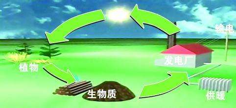 生物質是替代核電、火電 彌補天然氣缺口的一種重要新能源
