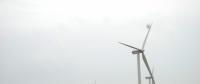 阿根廷可再生能源電力首次拍賣(mài)：風(fēng)電最便宜
