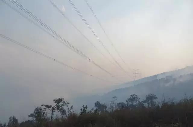 聽說最近輸電線路和鐵塔“火”啦！