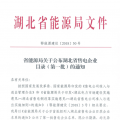 湖北省首批68家售電公司通過(guò)公示！4月20日前辦理注冊(cè)手續(xù)