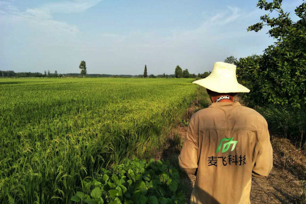 “AI+遙感”覬覦萬億級智慧農(nóng)業(yè)市場，這次沒有中間商賺差價 