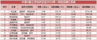 一季度45家光伏企業(yè)業(yè)績(jī)榜單登場(chǎng)：超八成飄紅，兩級(jí)分化現(xiàn)象嚴(yán)重