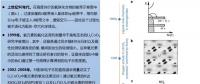 鋰離子電池陰離子氧化還原化學(xué)的內(nèi)在科學(xué)及實用性討論