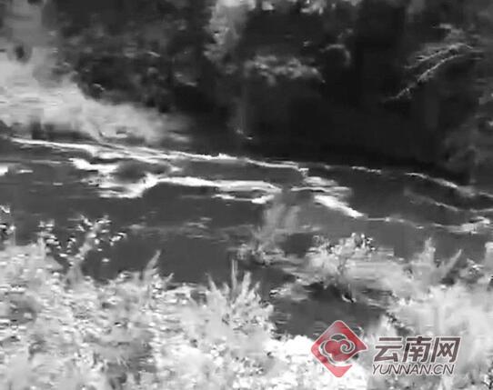 云南麗江部分水體變黑臭并有牲畜尸體，環(huán)保局：水閘放水引起