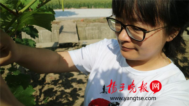 一個(gè)“80”后研究生的“綠色農(nóng)業(yè)夢(mèng)”：用“互聯(lián)網(wǎng)+”思維做農(nóng)業(yè)，新型職業(yè)農(nóng)民“潮”起來