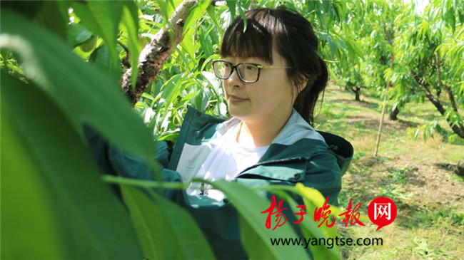 一個(gè)“80”后研究生的“綠色農(nóng)業(yè)夢(mèng)”：用“互聯(lián)網(wǎng)+”思維做農(nóng)業(yè)，新型職業(yè)農(nóng)民“潮”起來