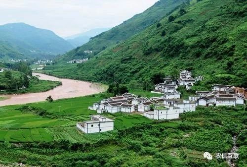 移動(dòng)互聯(lián)網(wǎng)走進(jìn)農(nóng)村，推動(dòng)農(nóng)業(yè)產(chǎn)業(yè)的智慧化轉(zhuǎn)型升級(jí) 
