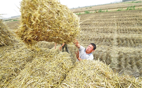 推動(dòng)綠色生產(chǎn)方式落地生根 