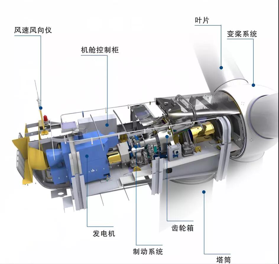 漲知識！海上風電場是怎么建成的？