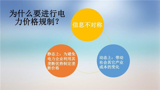 我國(guó)電力價(jià)格規(guī)制現(xiàn)狀、存在的問(wèn)題及原因分析