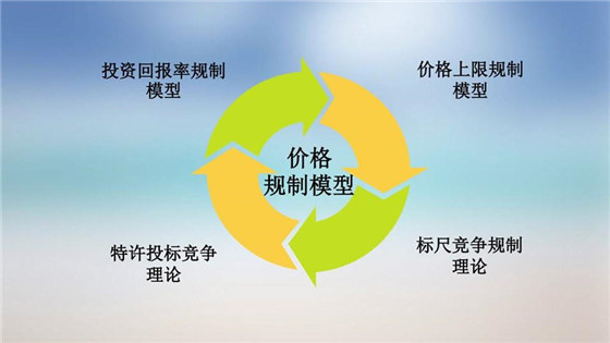我國(guó)電力價(jià)格規(guī)制現(xiàn)狀、存在的問(wèn)題及原因分析
