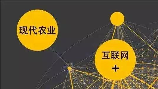 顛覆！裂變！賦能！互聯(lián)網(wǎng)+農(nóng)業(yè)領(lǐng)域的“豬飛起來了”