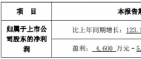 隆基、晶科齊發(fā)聲 “531”利大于弊？