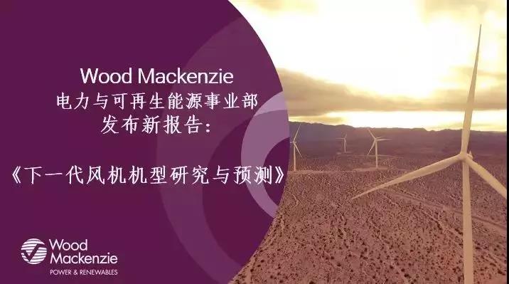 12-15MW+！歐洲“零補(bǔ)貼”海上風(fēng)場(chǎng)項(xiàng)目開(kāi)發(fā)主要選型