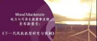 12-15MW+！歐洲“零補(bǔ)貼”海上風(fēng)場(chǎng)項(xiàng)目開(kāi)發(fā)主要選型