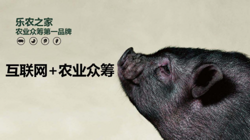 互聯(lián)網(wǎng)+農(nóng)業(yè)眾籌只賺吆喝 利潤全被用戶拿走了？