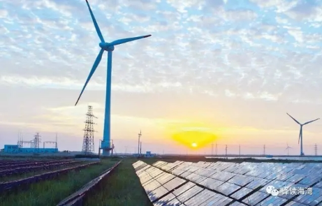 低價中標？400MW風電項目收到4份正式報價