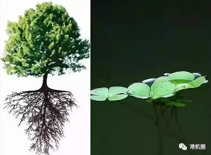插樁式、坐底式 詳解海上風電安裝平臺的作業(yè)方式