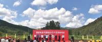 投資4.1億元！平遙建設(shè)風(fēng)力發(fā)電群