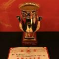 國家電網(wǎng)公司第四次榮獲中國工業(yè)“奧斯卡”獎！