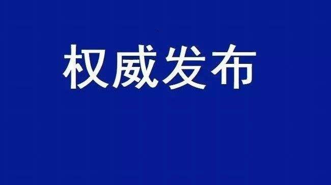 2020國民經(jīng)濟和社會發(fā)展計劃草案：建設全國統(tǒng)一電力市場