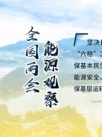 讀圖｜2020政府工作報(bào)告中這些內(nèi)容，和能源電力有關(guān)！