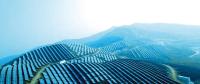 央視財經熱評丨光伏發(fā)電的平價時代到了嗎？